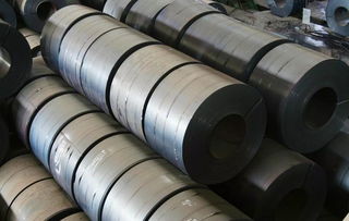 王懷世 鋼鐵未來發展看特鋼