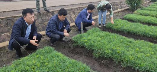 韓家園林業局 以創新思維探索林木種苗生產經營新路徑